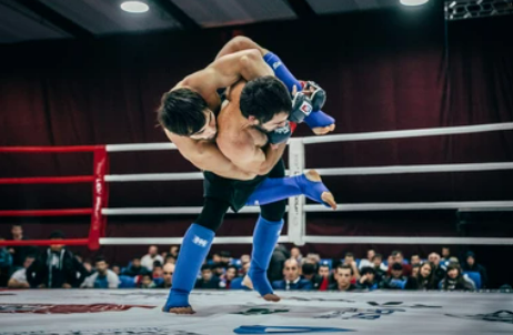 Meilleurs Protège-Tibias MMA