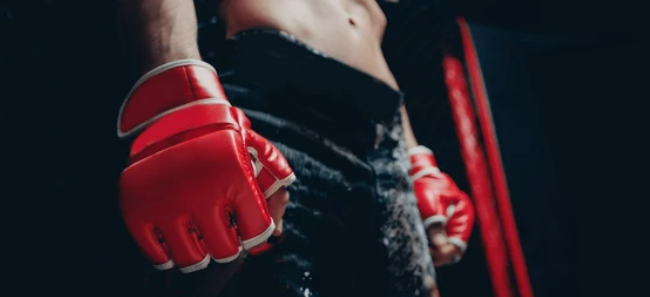 Meilleurs Gants de MMA