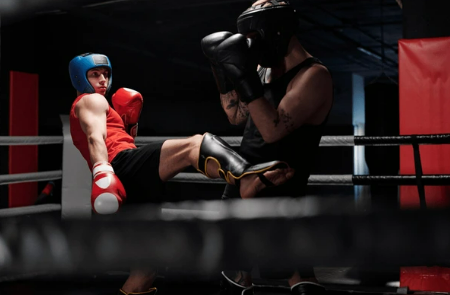 equipement mma debutant protege tibia