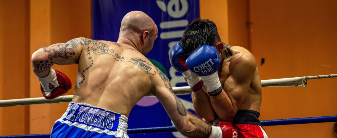 Quelle Coquille de MMA Choisir ? (Guide & Comparatif )