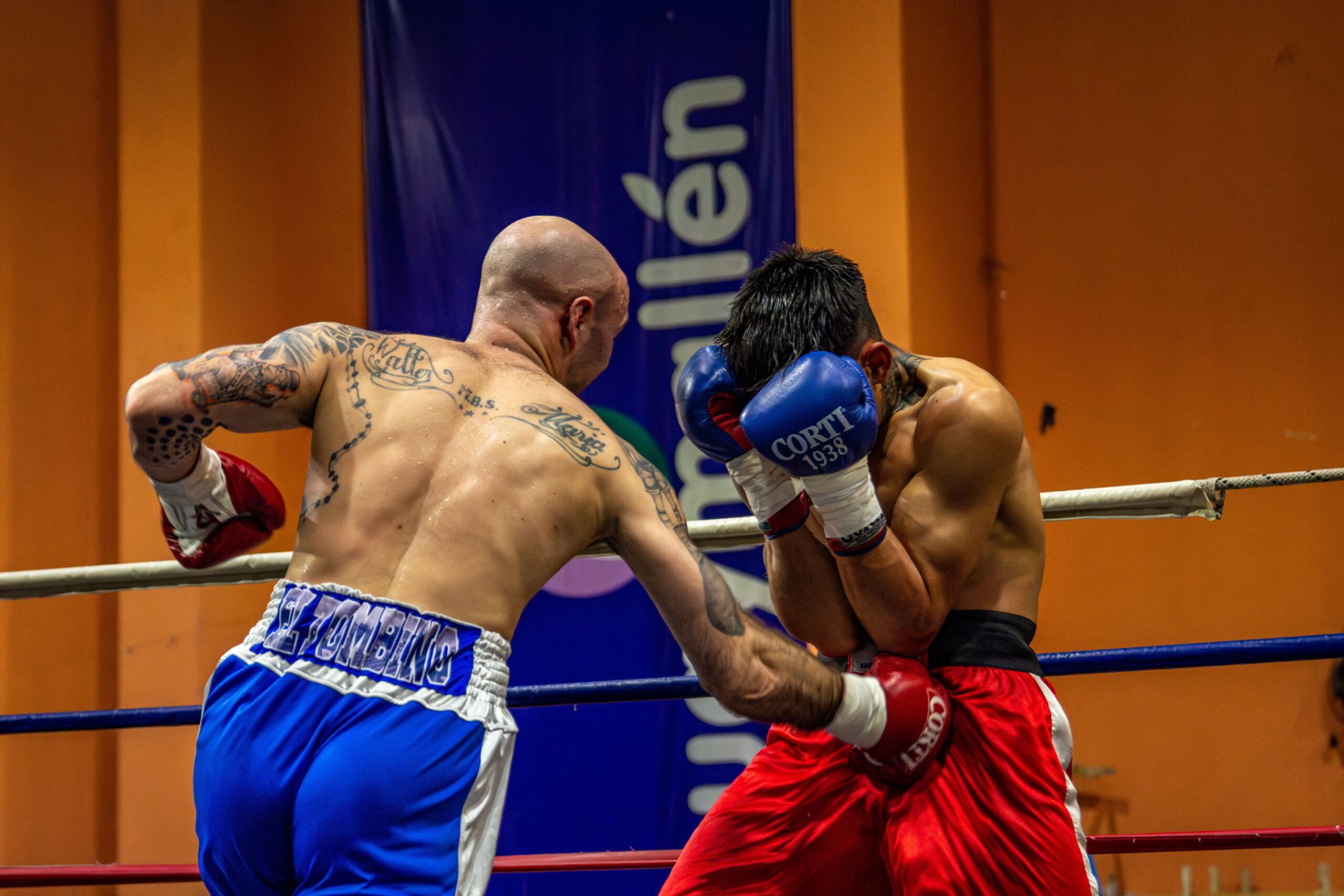 Quelle Coquille de MMA Choisir ? (Guide & Comparatif )